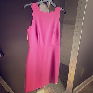 Ann Taylor pink sleeveless dress